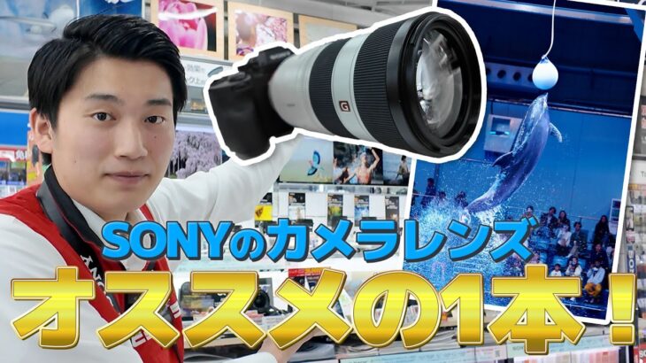 【カメラレンズ】ソニーのおすすめポイント解説【SONY】