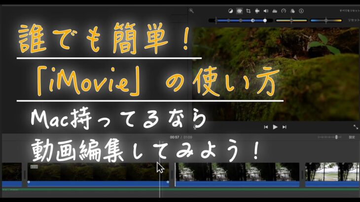 これで映像制作者の仲間入り！初心者向け動画編集ソフト「iMovie」の簡単な使い方【PHiLOSTUDiO】