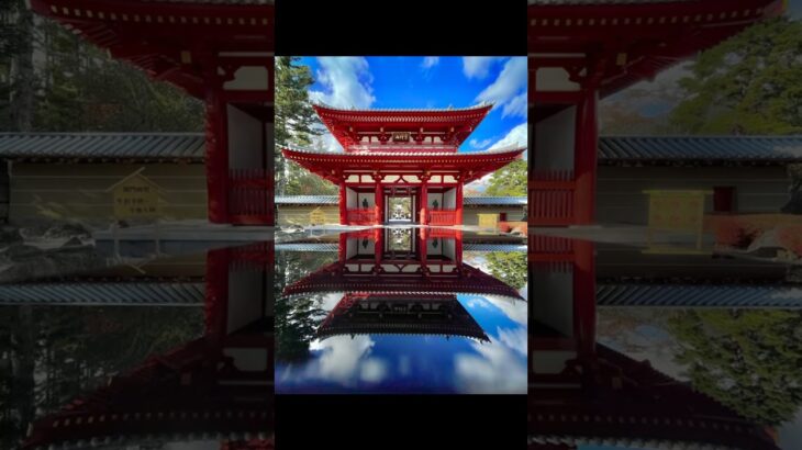 iPhoneを使ったリフレクション写真の撮り方#rkphoto #撮影テクニック #撮影 #iphone