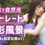 雨の森ポートレート撮影の裏側！自然光＆紫陽花ポートレート撮影テクニック。撮影風景動画【レンズ焦点距離＆カメラ露出設定記載あり】