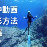 Insta360 – シネマティック水中動画撮影方法 4選 (ft. AlejandroMarina)