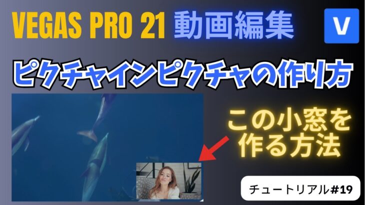 【VEGAS Pro 21 動画編集】ピクチャインピクチャの作り方 – チュートリアル#18