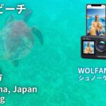 wolfang GA200 シュノーケリング映像 水中撮影 沖縄 宮古島 アクションカメラ おすすめ シギラビーチ ActionCamera miyakojima okinawa japan