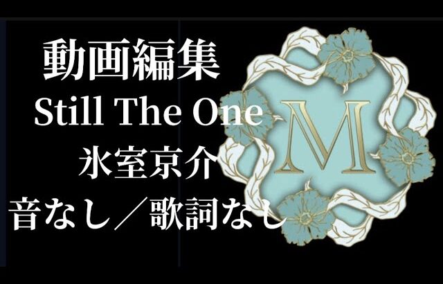 【動画編集】音のないヒムロック／Still The One／氷室京介／歌ってみた・弾いてみたでご自由にお使いください／音の無い世界／スマホ縦用