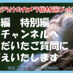 間違いだらけのカメラ機材選びch 「番外編　特別編このチャンネルへいただいたご質問にお答えいたします」