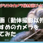 間違いだらけのカメラ機材選びch 「静止画（動体撮影以外）におすすめのカメラを考えてみた」