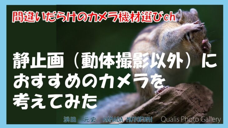 間違いだらけのカメラ機材選びch 「静止画（動体撮影以外）におすすめのカメラを考えてみた」