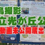 【野鳥撮影】 都立光が丘公園 / ボツ動画未公開蔵出し 、公園散歩編