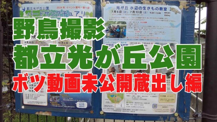 【野鳥撮影】 都立光が丘公園 / ボツ動画未公開蔵出し 、公園散歩編