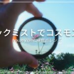 【おすすめ！】ブラックミストフィルターを付けてPOV　Z6IIIでコスモス撮影【万博記念公園】