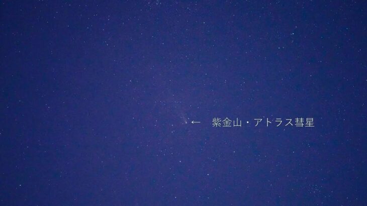 さよなら紫金山・アトラス彗星（SONYα7SⅢリアルタイム動画）