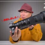 【予約しました！】Z50II 撮影検証！野鳥撮影（被写体認識）、4K動画比較、N Log撮影テスト