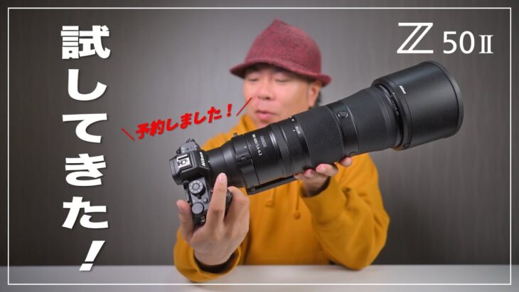 【予約しました！】Z50II 撮影検証！野鳥撮影（被写体認識）、4K動画比較、N Log撮影テスト