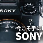 今だからおすすめしたい一台！『SONY α1』ってどうなの？魅力を解説します