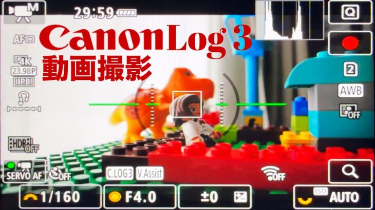 Canon Logで最高の動画撮影をする方法！キヤノンEOS R7/R8/R6/R6 Mark II/R5/R5 Mark II/R5/R3/R1ユーザー必見