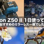 【初心者にもおすすめカメラ】Nikon Z50IIを1日使い倒してみた Vlog / 夜景・夕方から夜景のタイムラプス・野鳥など撮影してみた