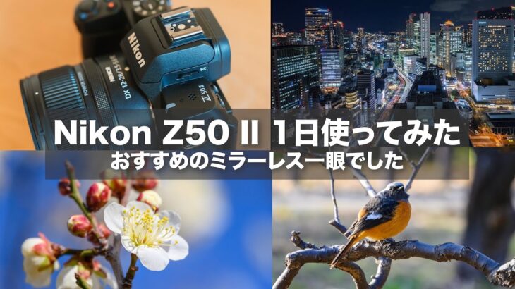 【初心者にもおすすめカメラ】Nikon Z50IIを1日使い倒してみた Vlog / 夜景・夕方から夜景のタイムラプス・野鳥など撮影してみた