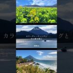 カラーグレーディングで映える！鹿児島の絶景を美しく編集✨【スマホ 動画編集】#shorts