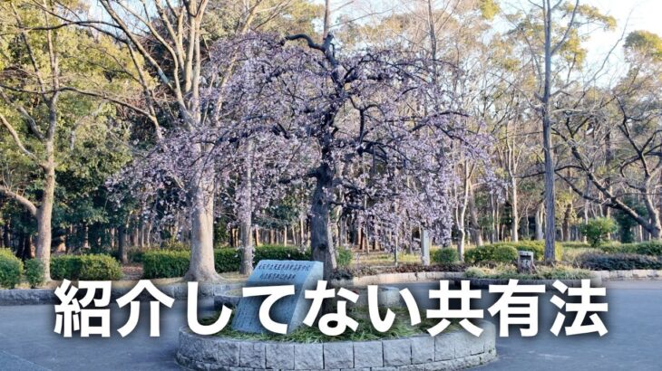 【あとがき】写真や動画の共有方法は他にもあるんですが理由があって説明をやめました…